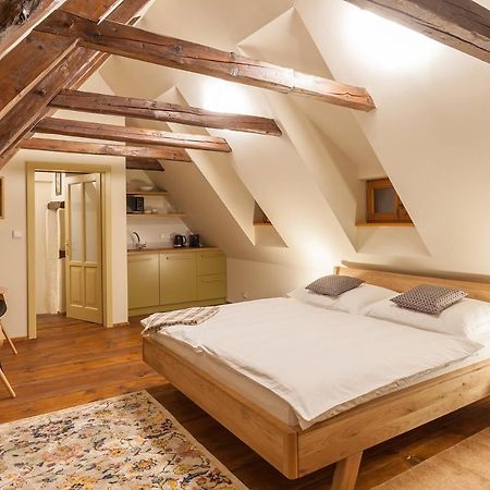 Babyka Apartments Český Krumlov Kültér fotó